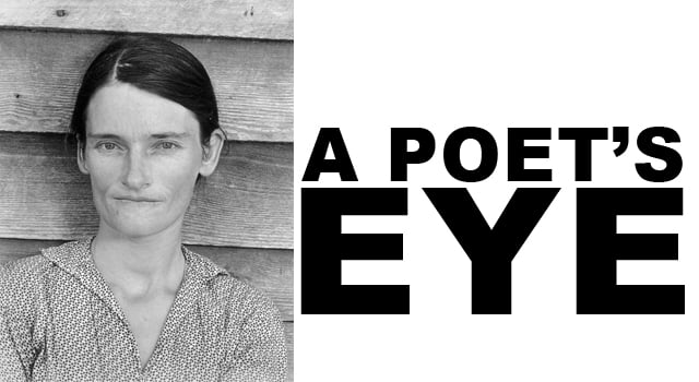 a poet's eye