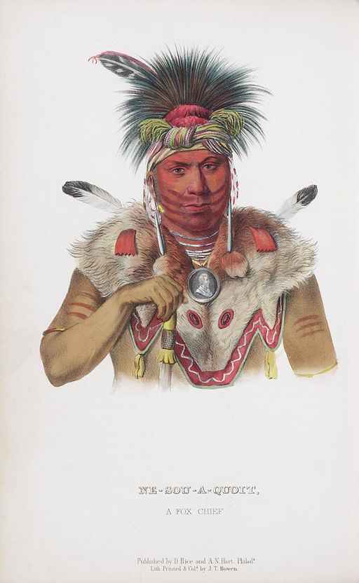 Portrait of Ne-Sou-A-Quoit, a Fox chief by Charles Bird King