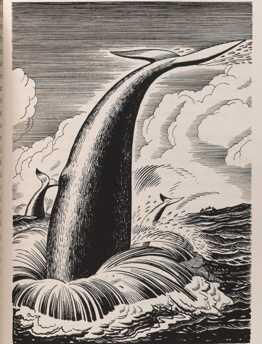 Illustration from Kent's Moby Dick