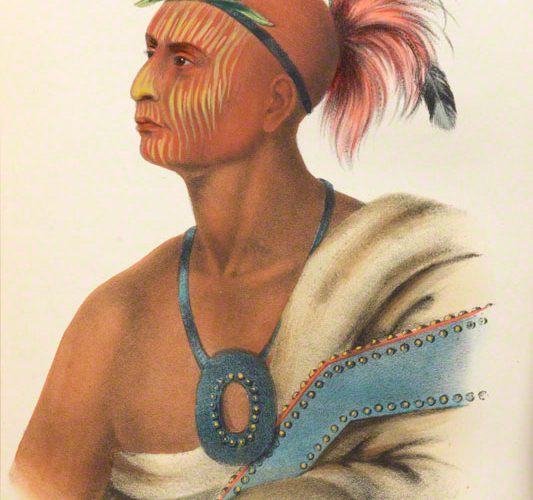 illustration from The History of The Indian Tribes of North America