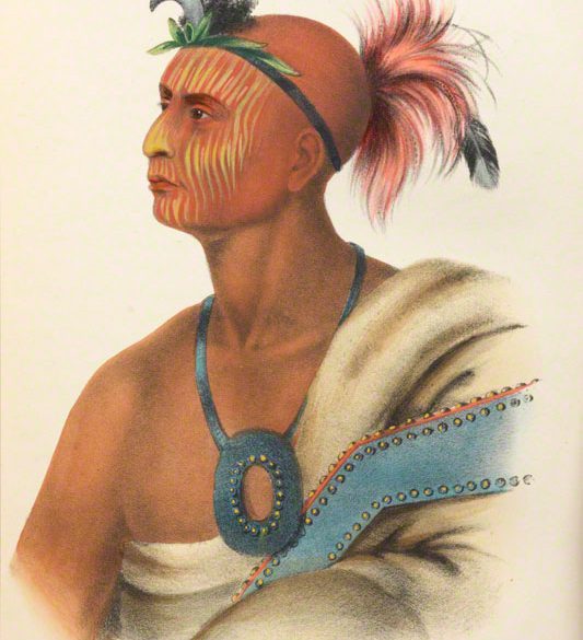 illustration from The History of The Indian Tribes of North America