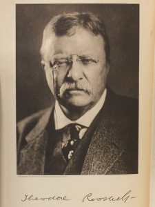 Theodore Roosevelt portrait