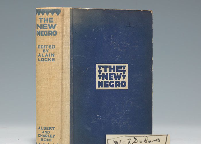 the new negro book