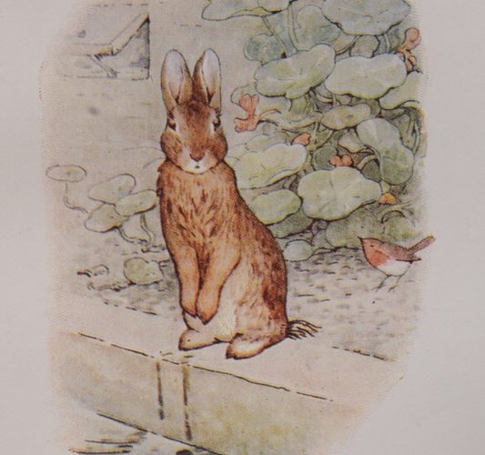 illustration of Peter Rabbit