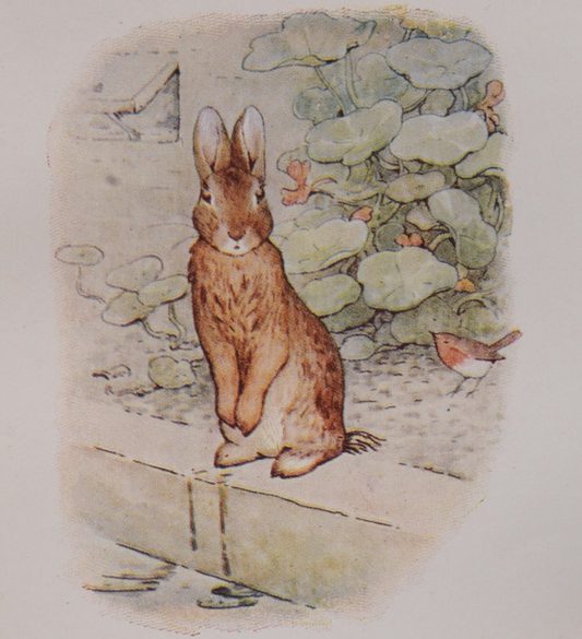 illustration of Peter Rabbit