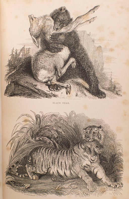 Beautiful pair of detailed wood engravings by master artist Thomas Landseer featured in this 1837 article, "Modern Wood Engraving", published in the London and Westminster Review No. II, Vol. XXXI.